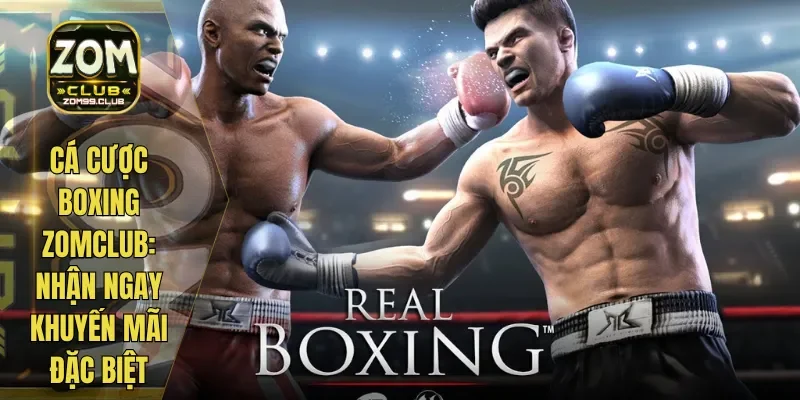 Cá Cược Boxing