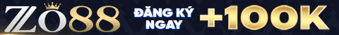 Vivu Banner 2
